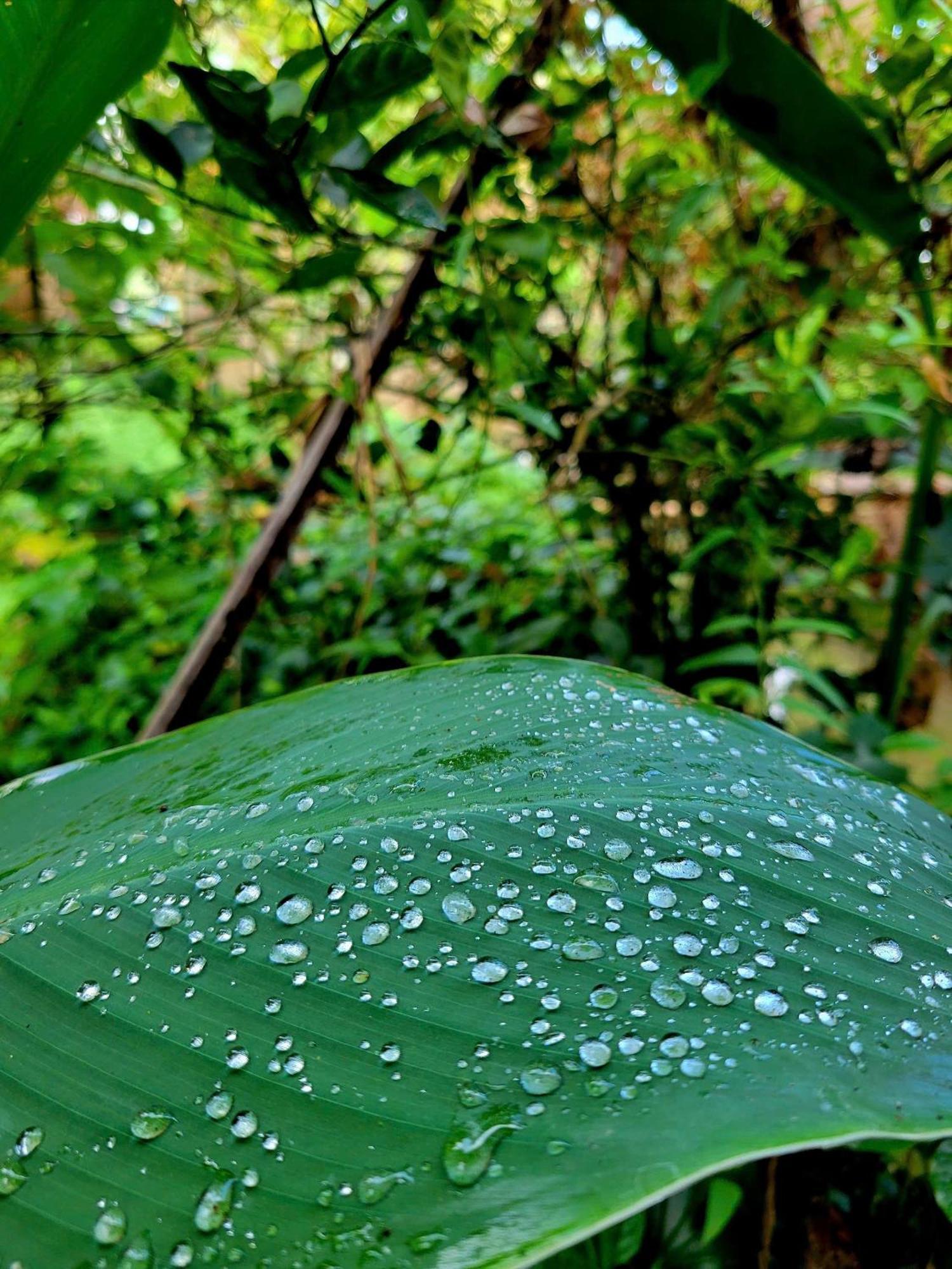 Nong Trai Thanh Thoi Ben Tre Exteriör bild