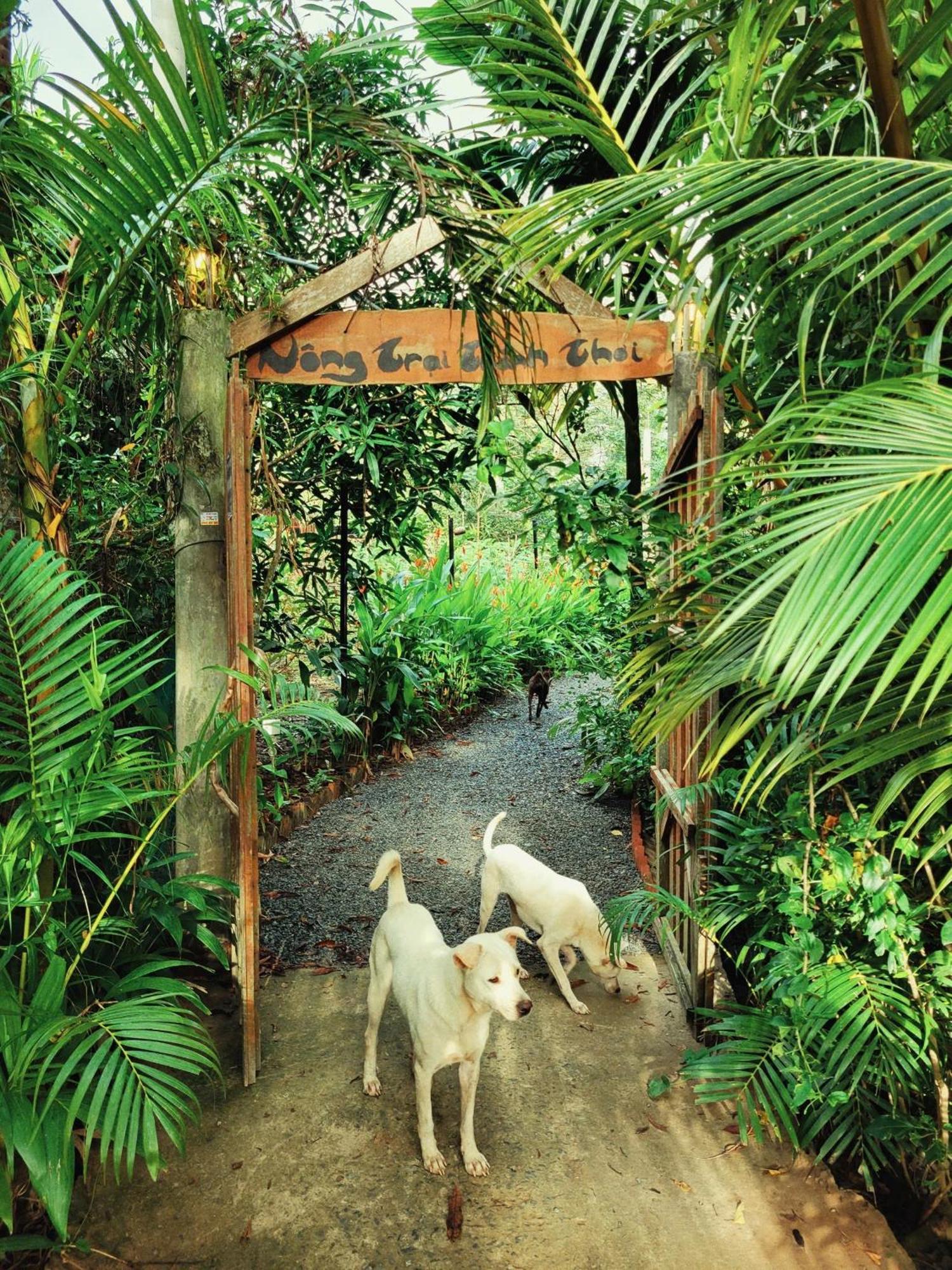 Nong Trai Thanh Thoi Ben Tre Exteriör bild